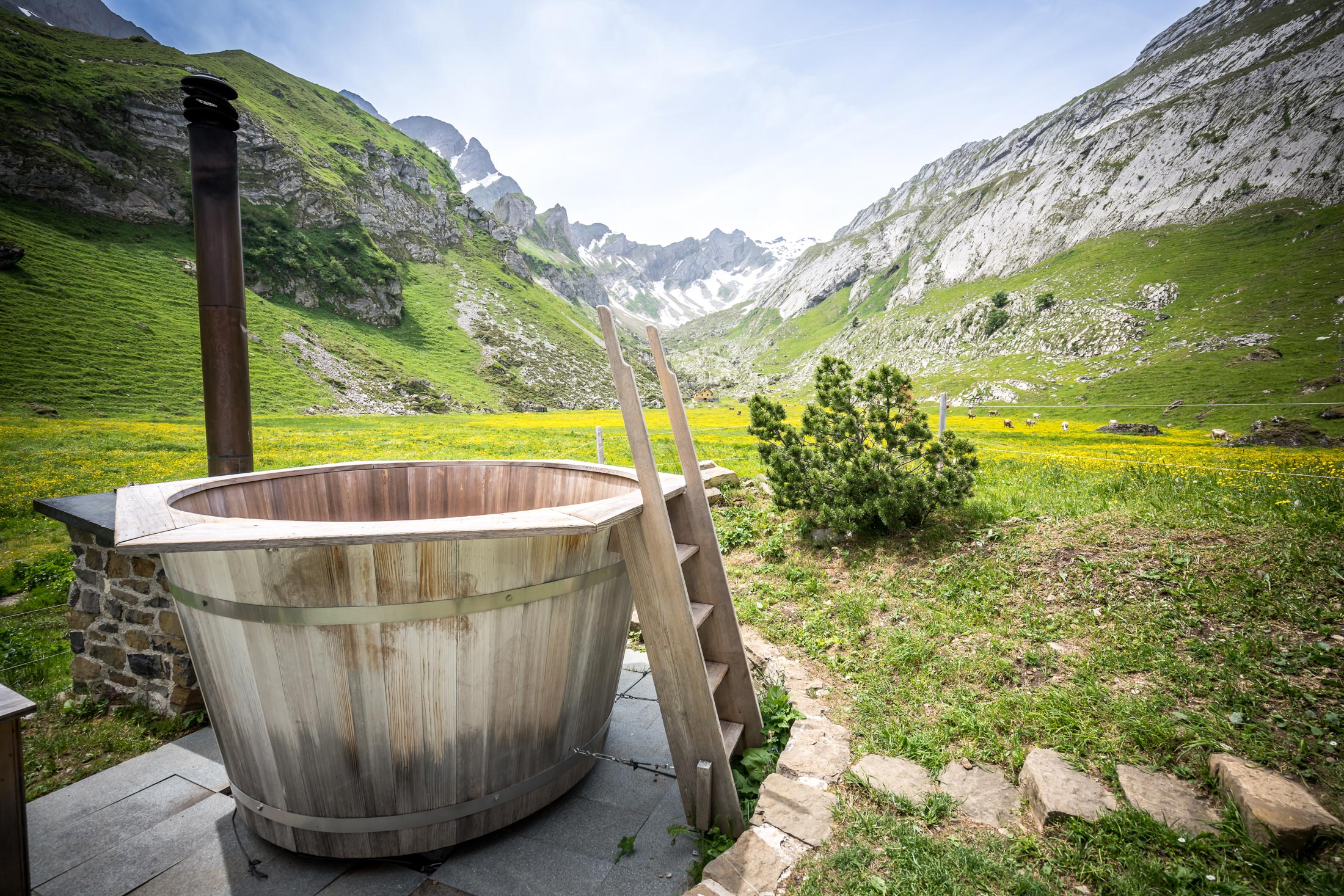 Alps content workshop highlight